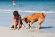 Mädchen und Elowelpe graben am Strand ein Loch