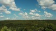 forest and clouds pan shoot