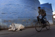 Jodhpur