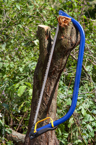 Photo: Blue bucksaw with yellow handle Blue bucksaw with yellow handle