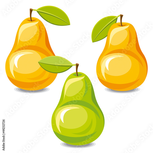 Vektor: Pears Pears