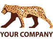 Vector: Logo Logo