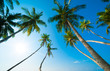 Tropical beach