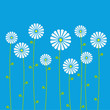 Floral pattern