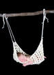 adorable newborn suspended in hammock
