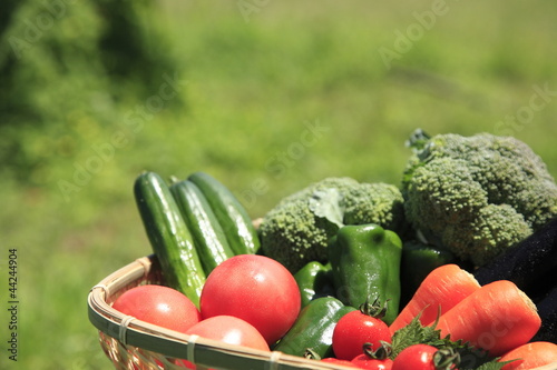 Photo: 新鮮野菜盛り 新鮮野菜盛り