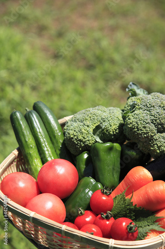 Photo: 新鮮野菜 新鮮野菜
