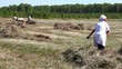 Video: Peasants. On the farm Peasants. On the farm
