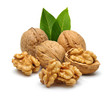 walnut and leaves