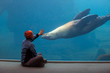 Foto: Sea life Sea life