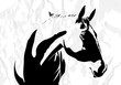 Vector Horse