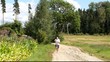 Video: Man running along the corn field Man running along the corn field
