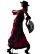 woman gipsy flamenco dancing dancer