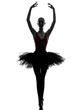 Photo: young woman ballerina ballet dancer dancing young woman ballerina ballet dancer dancing