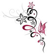 Ranke, flora, Blume, Blüte, Schmetterling, pink