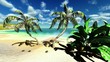 Video: Tropical beach Tropical beach