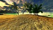 Video: Tropical beach Tropical beach