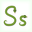 Vector: Snake font. Letter S Snake font. Letter S