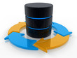Database Cycle Concept
