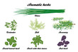 Aromatic herbs poster