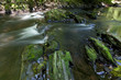 Die Selke im Harz ein naturbelassener Fluss