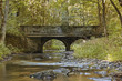 Die Selke im Harz ein naturbelassener Fluss