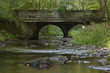 Die Selke im Harz ein naturbelassener Fluss