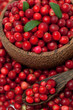 cranberries