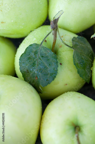 Photo: fresh apple background fresh apple background