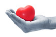 heart