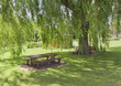 Area de pic-nic