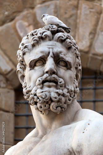 Photo: Head of the statue of Hercules by Bandinelli (1533) Head of the statue of Hercules by Bandinelli (1533)