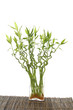 Bamboo leaf in vase on bamboo mat