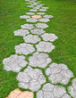Concert path in the green grass