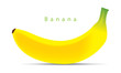 Vector: Ripe banana isolated on white vector Ripe banana isolated on white vector