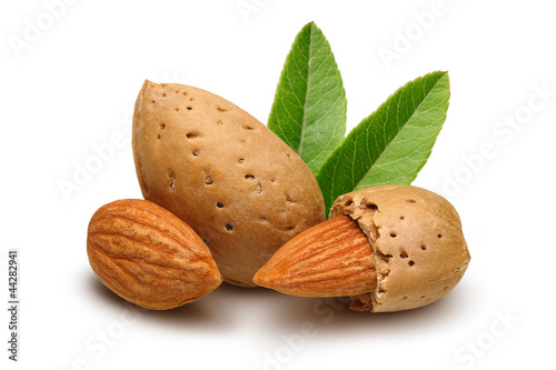 Photo: Almonds Almonds
