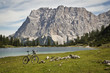 Mountainbiken