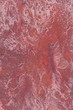 old red background