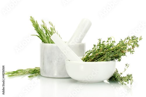 Photo: mortars with fresh green thyme and rosemary isolated on white mortars with fresh green thyme and rosemary isolated on white