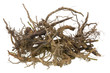 roots for Halloween