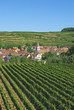 der bekannte Weinort Achkarren am Kaiserstuhl im Schwarzwald