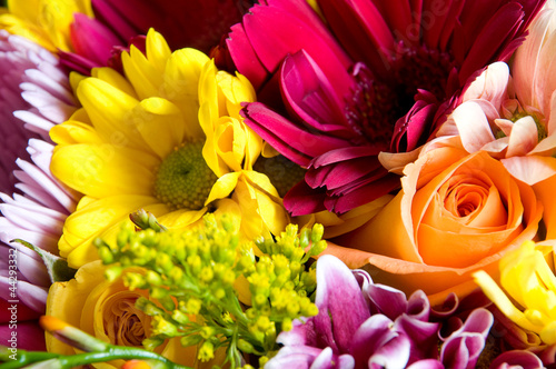 Photo: Beautiful flowers background Beautiful flowers background