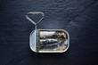 Boite Sardine