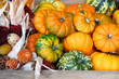 Zierkürbisse und Mais, Herbstdekoration