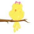 Yellow bird
