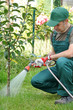 Gärtner mit Gartenschlauch