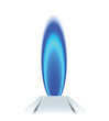 gas filed
