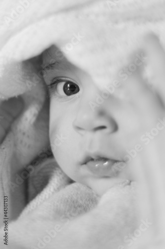 Photo: Baby Portrait Baby Portrait