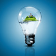 Electric light bulb and a plant inside it