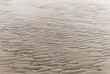 Foto: Wattenmeer Wattenmeer
